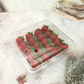 Plastic Fruit Punnet Blister clear fruit clamshell packaging